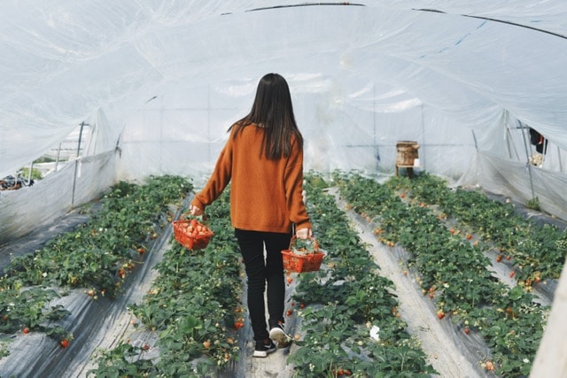 prepare for threats in business