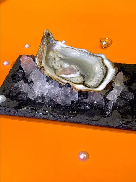 a pearl in an oyster represents value in its content