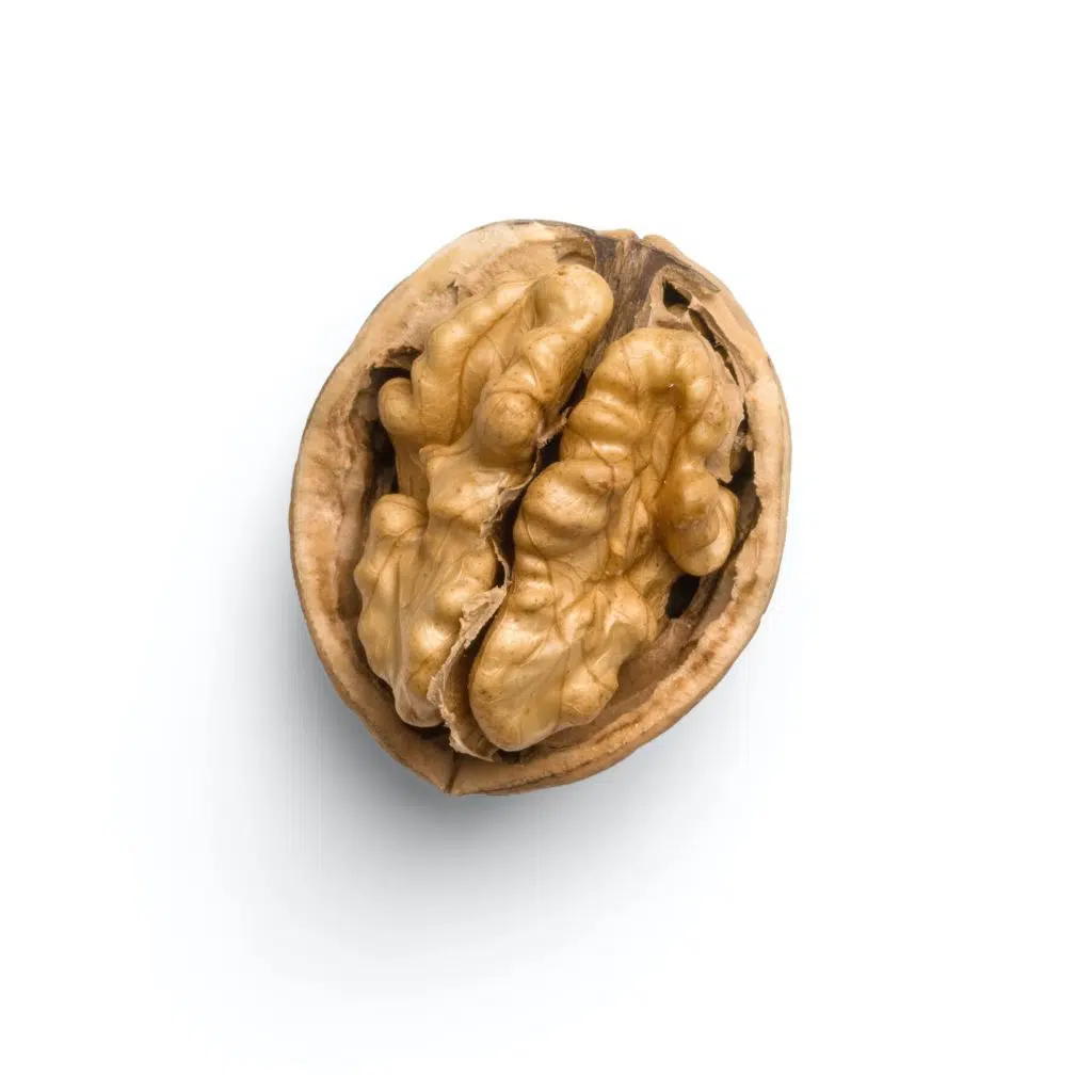 an image of a walnut to illustrate the future of content-creation