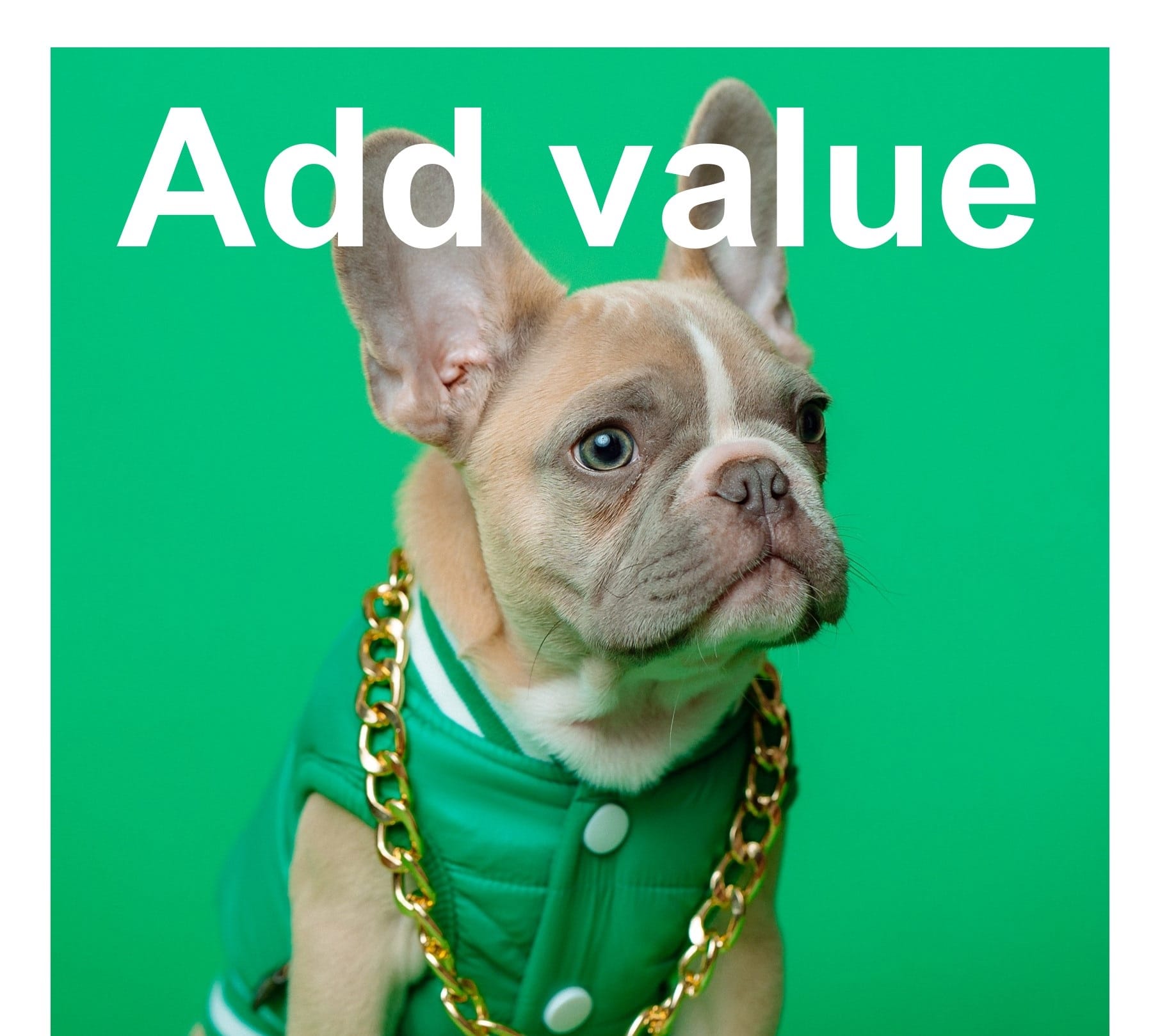 picture of bulldog byKardten Wingeart from unsplash.com to illustrate post aout add value by listening.