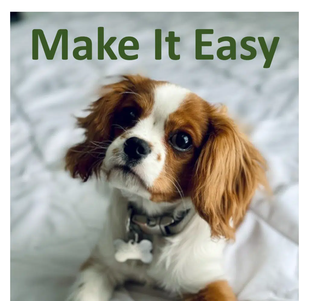 photo of Cavalier King Charles Spaniel to illustrate an article on , how to make it easy for customers to buy from you. PhoTto creditt Ttacy Anderson from unsplash.com