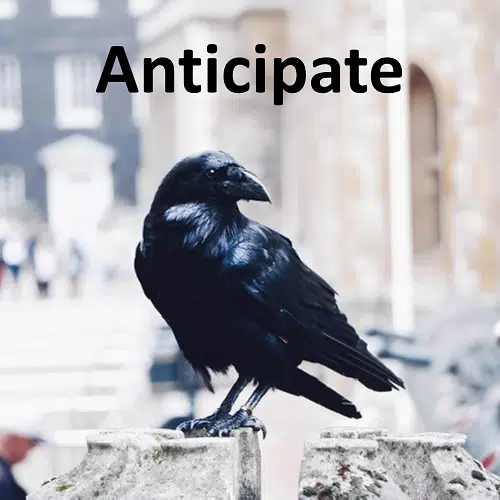 imsge of a raven byKasturi Roy from unsplash.com to illustrate article on how to stay ahead of your customers'needs in Marketing