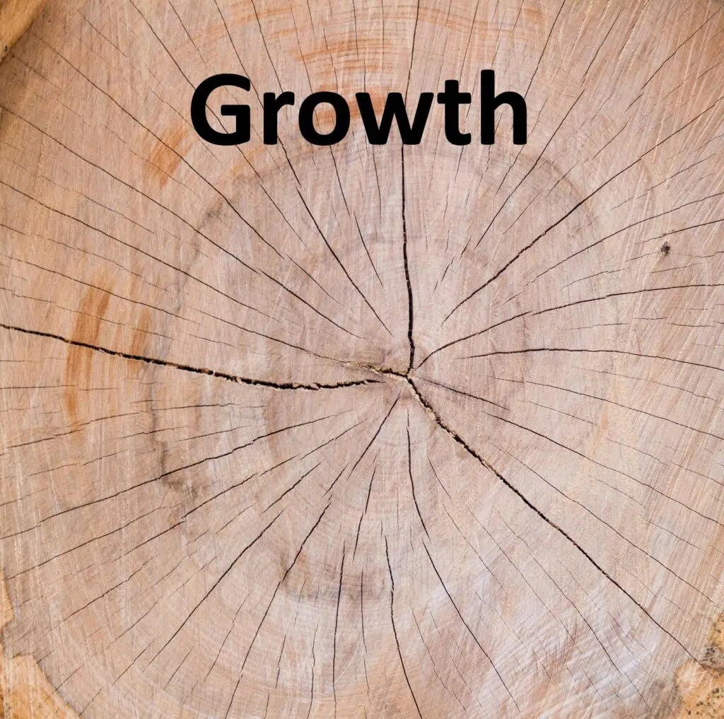 image of Trunk cut- tree to illustrate article on systems for growth credit: Luczka from unsplash.com